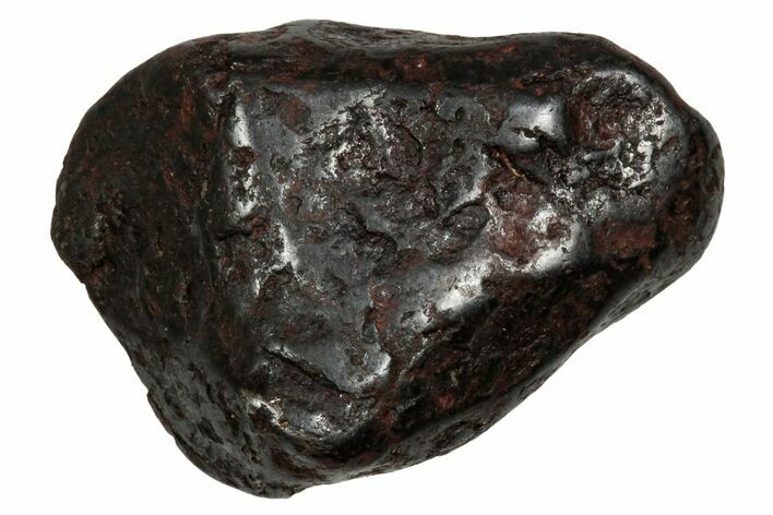 Canyon Diablo Iron Meteorite ( g) - Arizona #336007